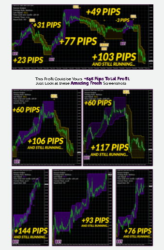 Trading Performance Data