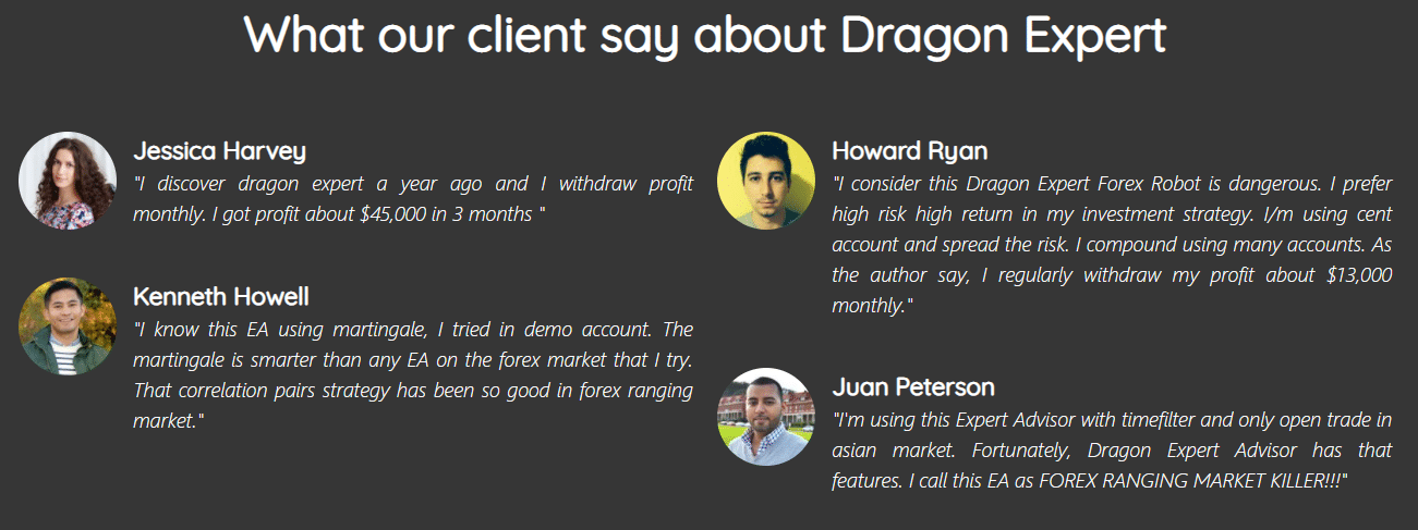 Dragon Expert People feedback