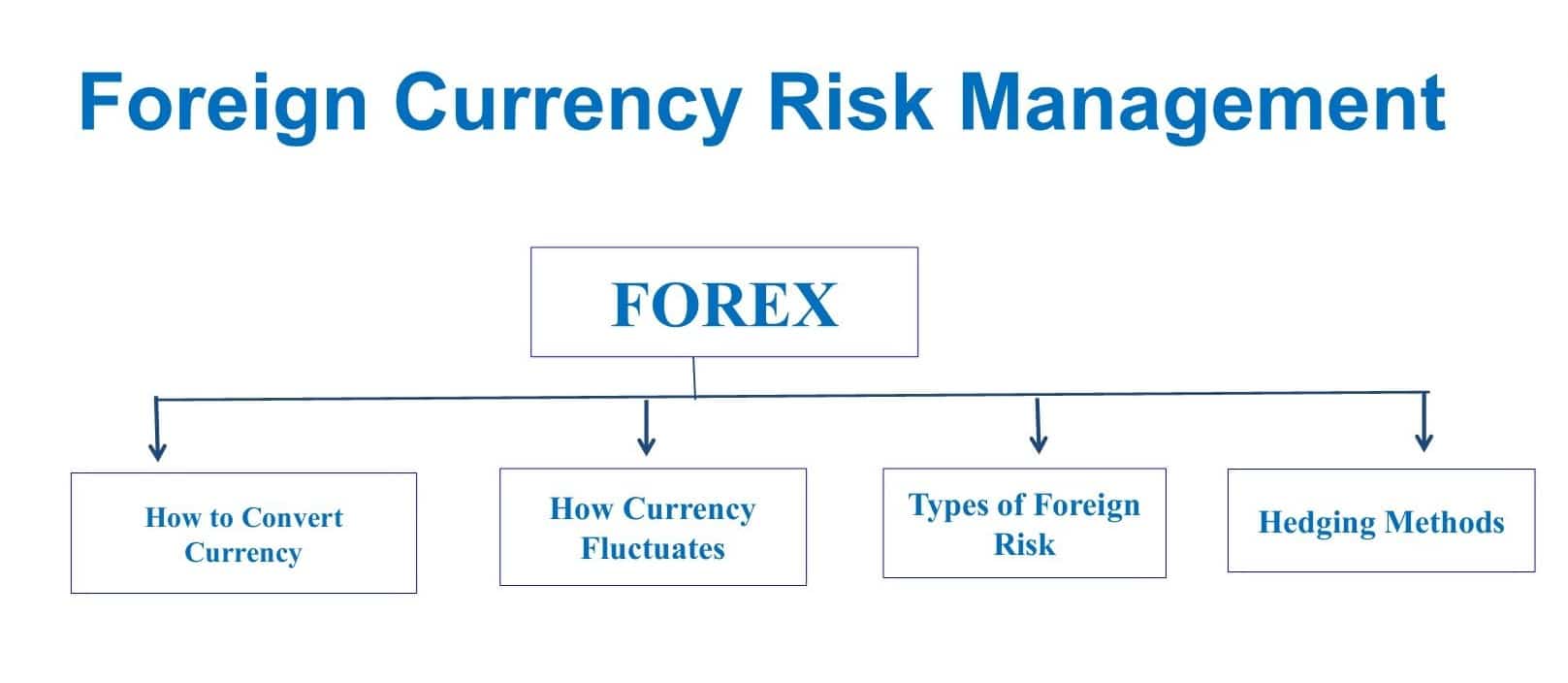 Exchange risk