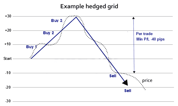 A graph showing a hedged grid.