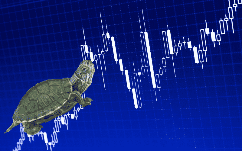 The Turtle Trading Experiment: What We Can Learn From It