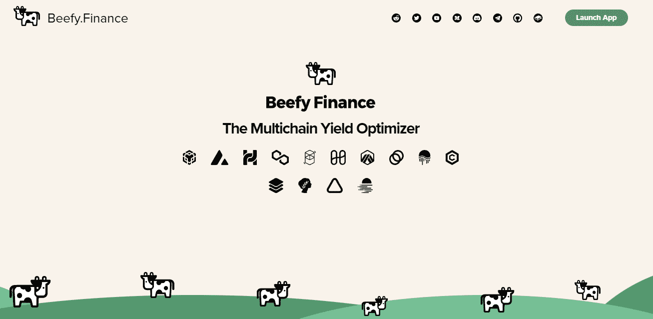 Beefy Finance platform