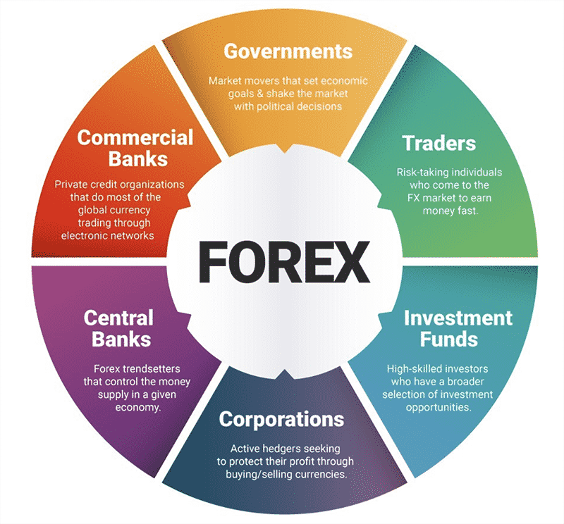 A multi-colored circle showing the main market participants in forex
