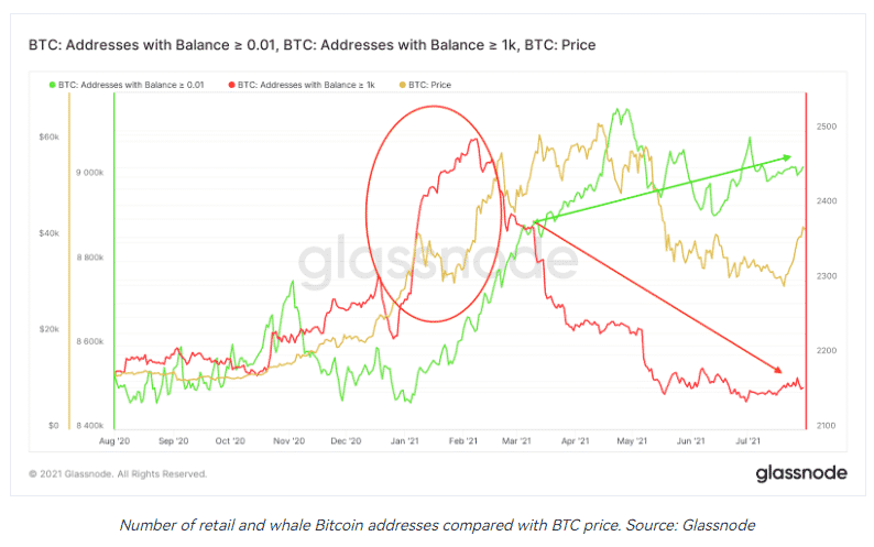 Chart showing BTC price relation with whale actions