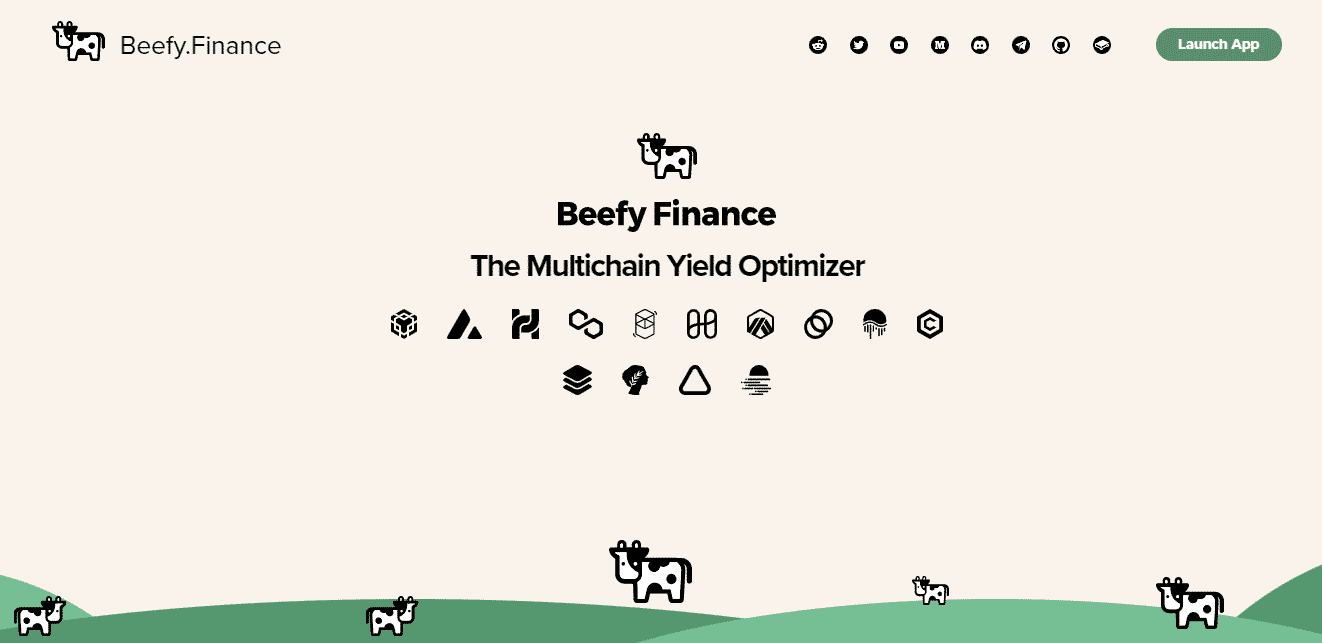 Beefy.Finance home page